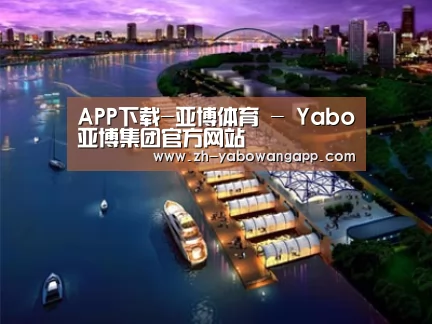 案例展示八