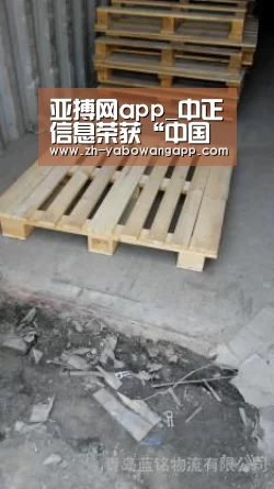 亚搏网app