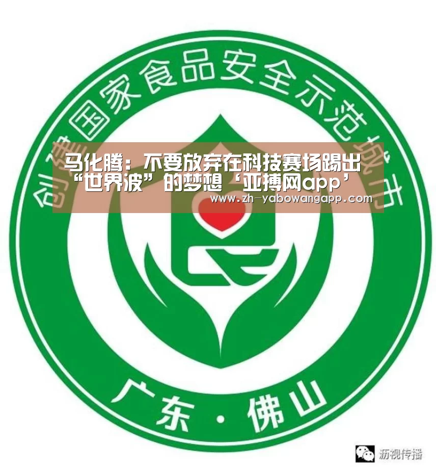 亚搏网app
