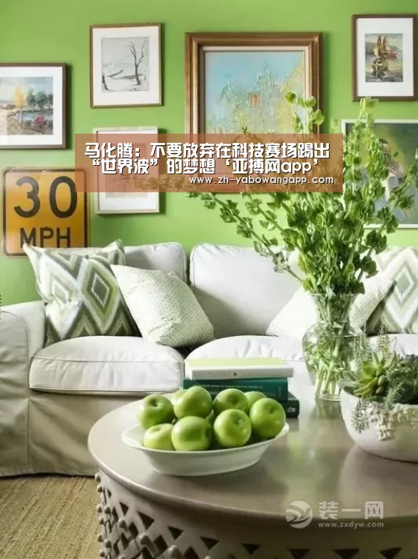 亚搏网app
