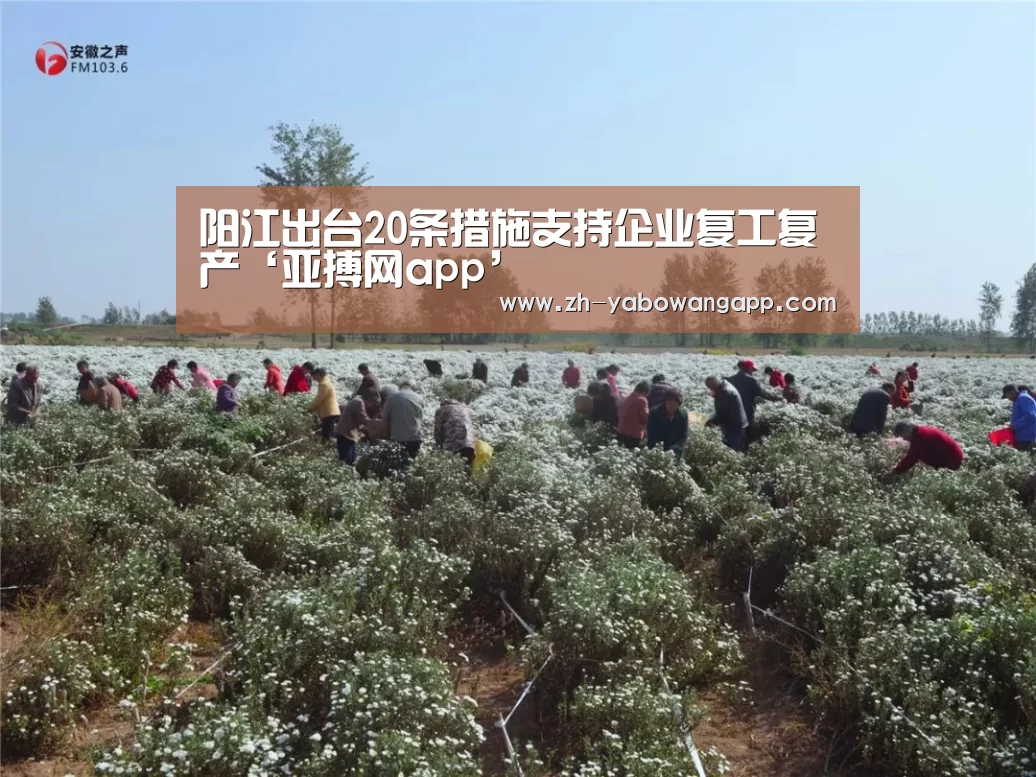 亚搏网app