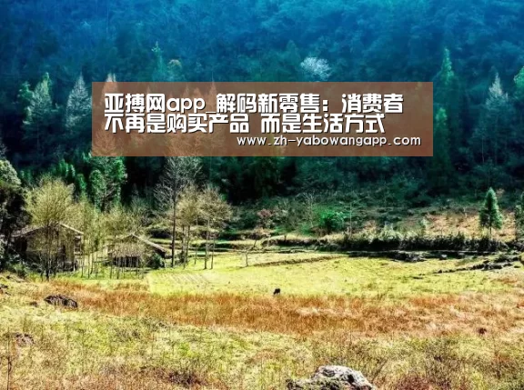 亚搏网app
