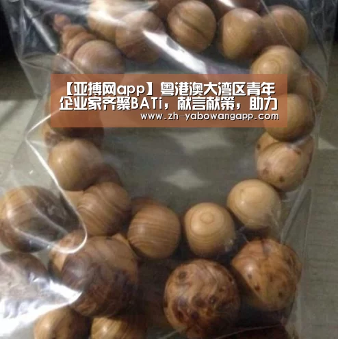 亚搏网app