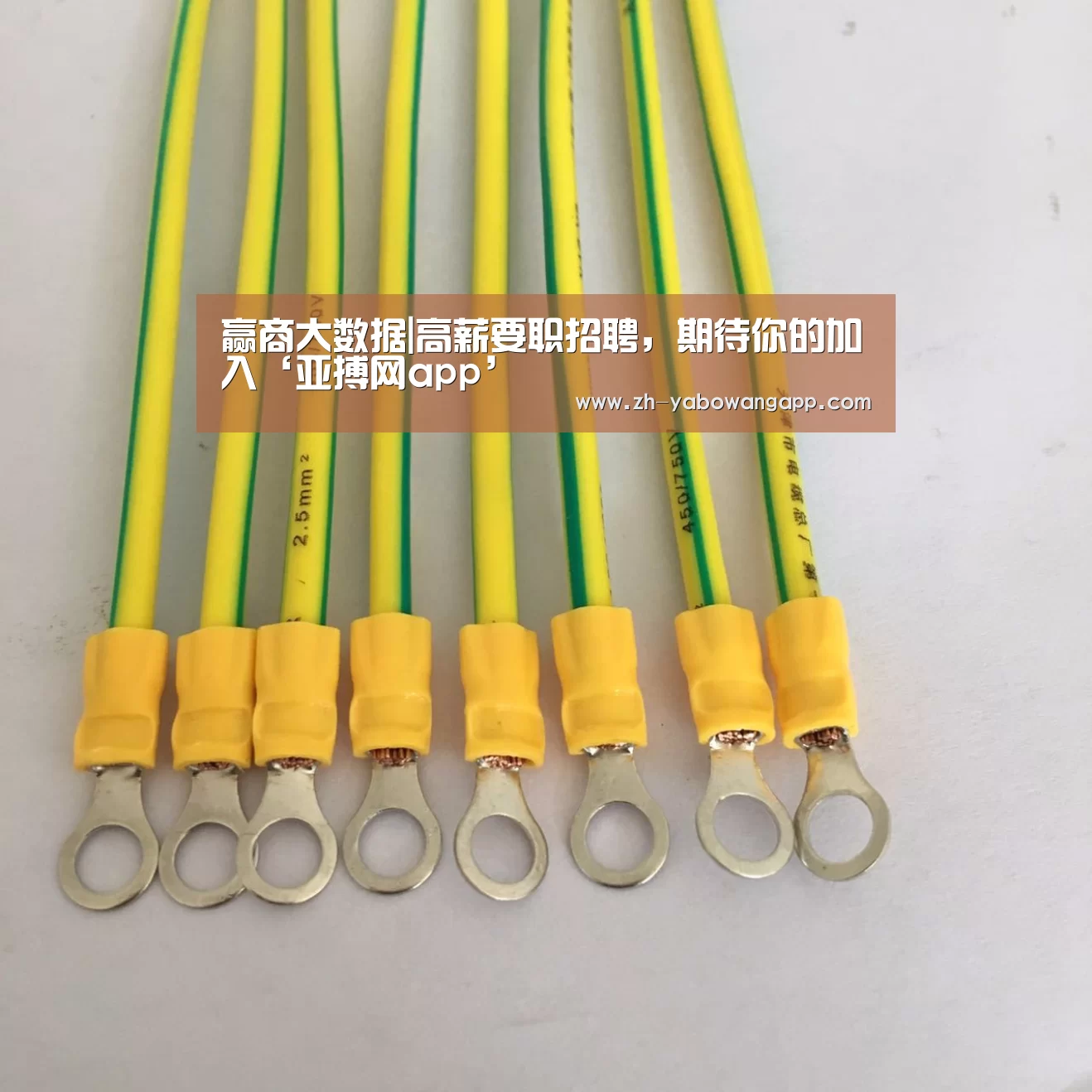 亚搏网app