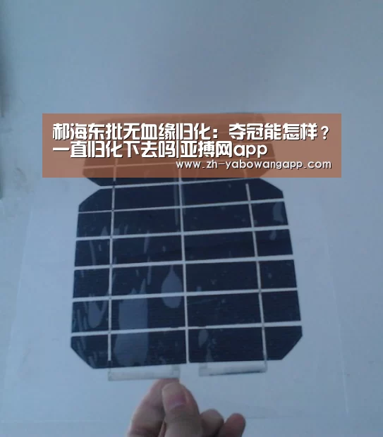 郝海东批无血缘归化:夺冠能怎样?一直归化下去吗|亚搏网app(图1) 亚搏网app