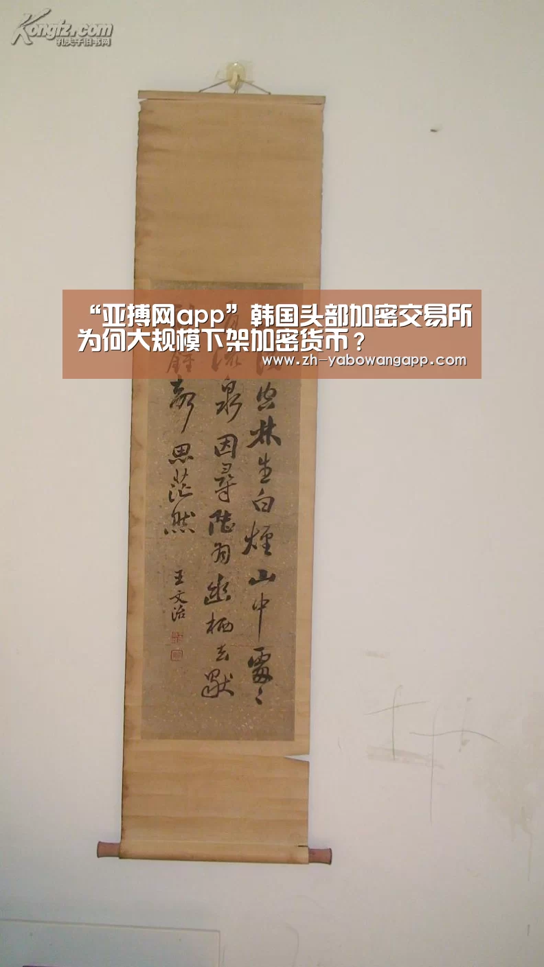 亚搏网app