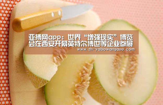 亚搏网app