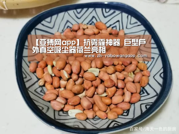 亚搏网app