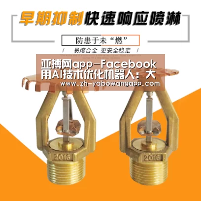 亚搏网app