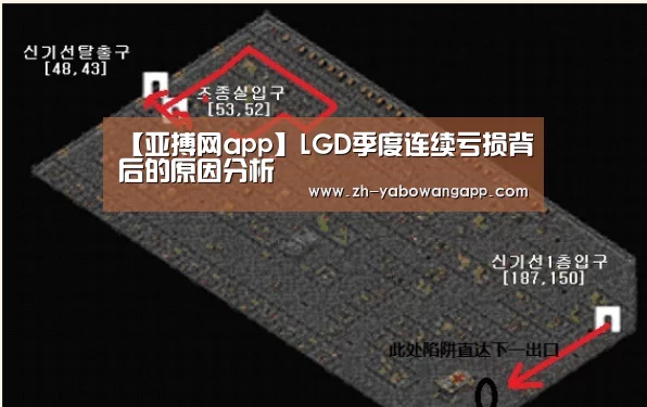 亚搏网app