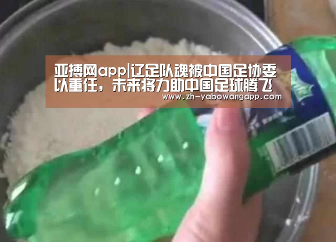 亚搏网app