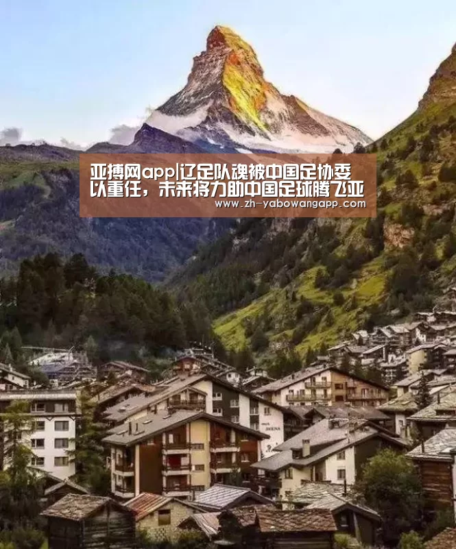 亚搏网app