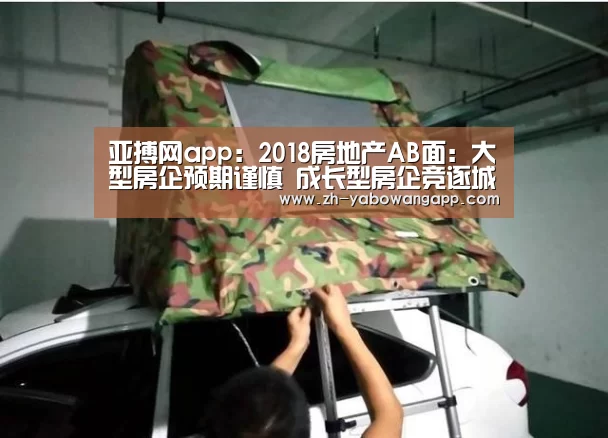 亚搏网app